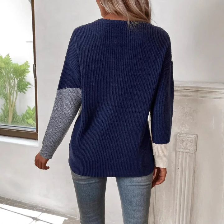 Krāsu Bloku Apaļo Kakla Adīts Džemperis